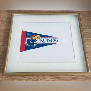 College/University Pennant Flags Framed 11x13